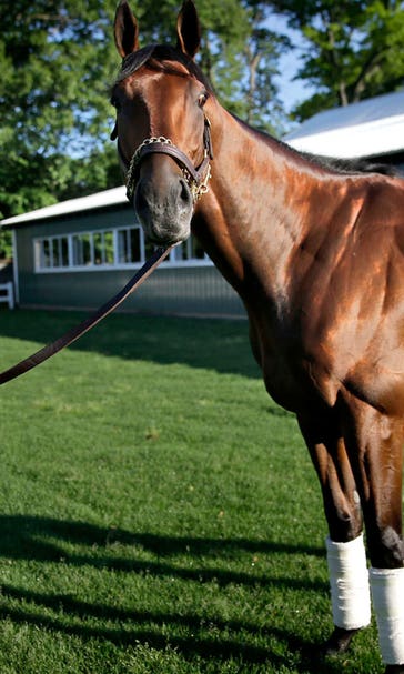 Canterbury Park dreams of luring American Pharoah with $2M race